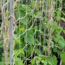 Growers Choice Jute Plant Support Netting - 2m x 5m