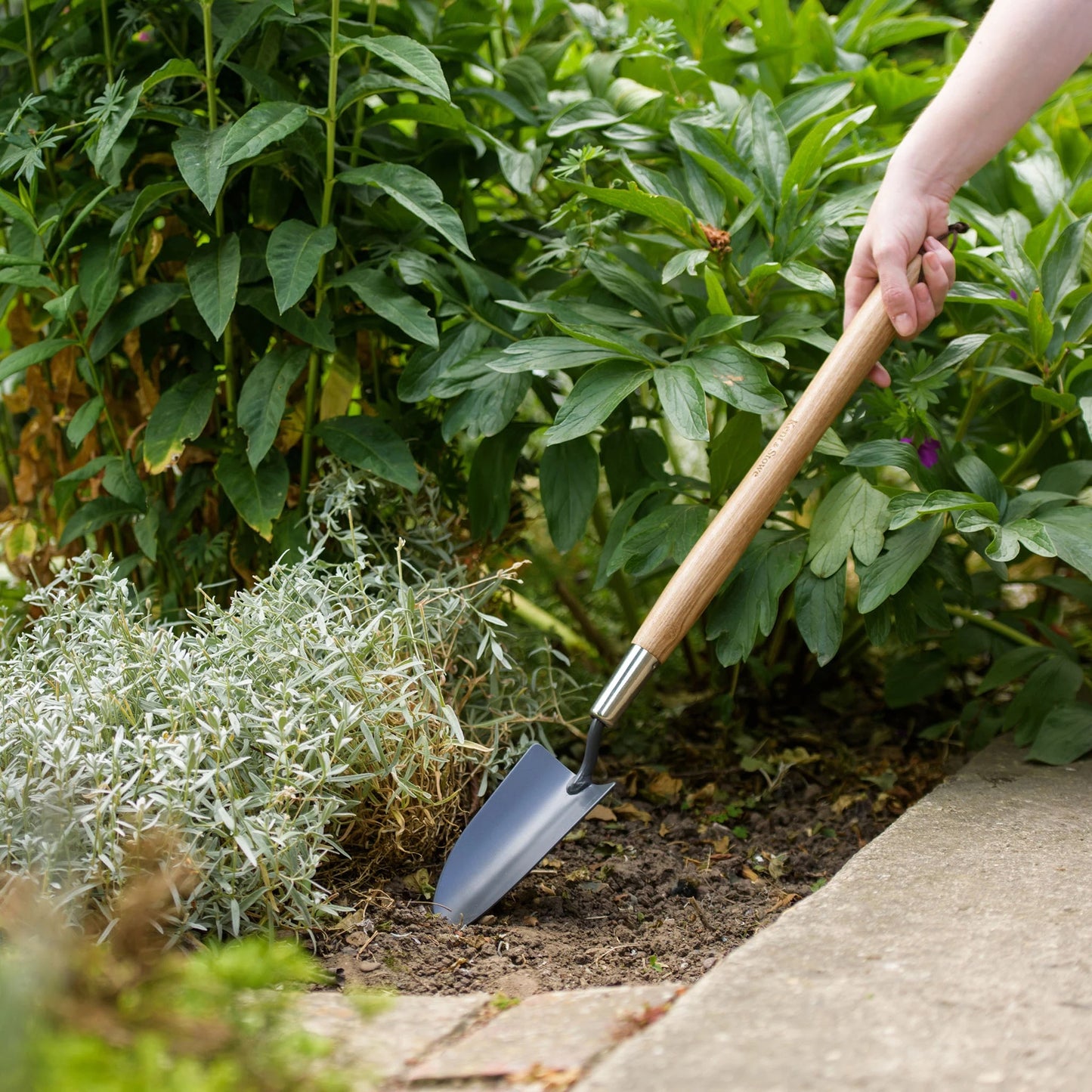 Kent & Stowe Carbon Steel Border Hand Trowel