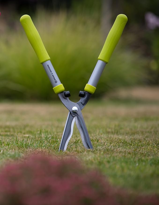 Spear & Jackson Bypass Secateurs + Hand Shears Set in Green