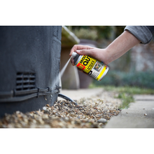 The Big Cheese Peppermint Lacquer 300ml Aerosol