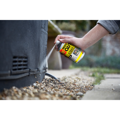 The Big Cheese Peppermint Lacquer 300ml Aerosol