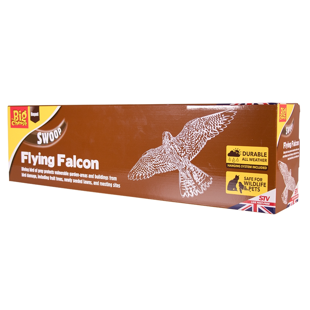 The Big Cheese Flying Falcon