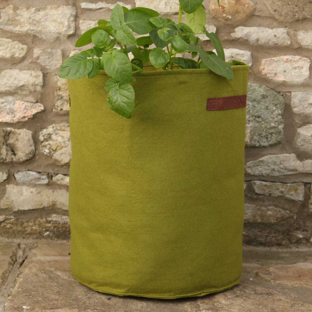 Haxnicks Vigoroot Planter