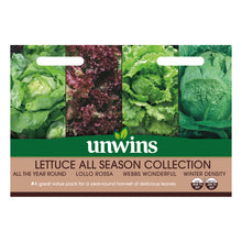 Lettuce All Season Collection Pack