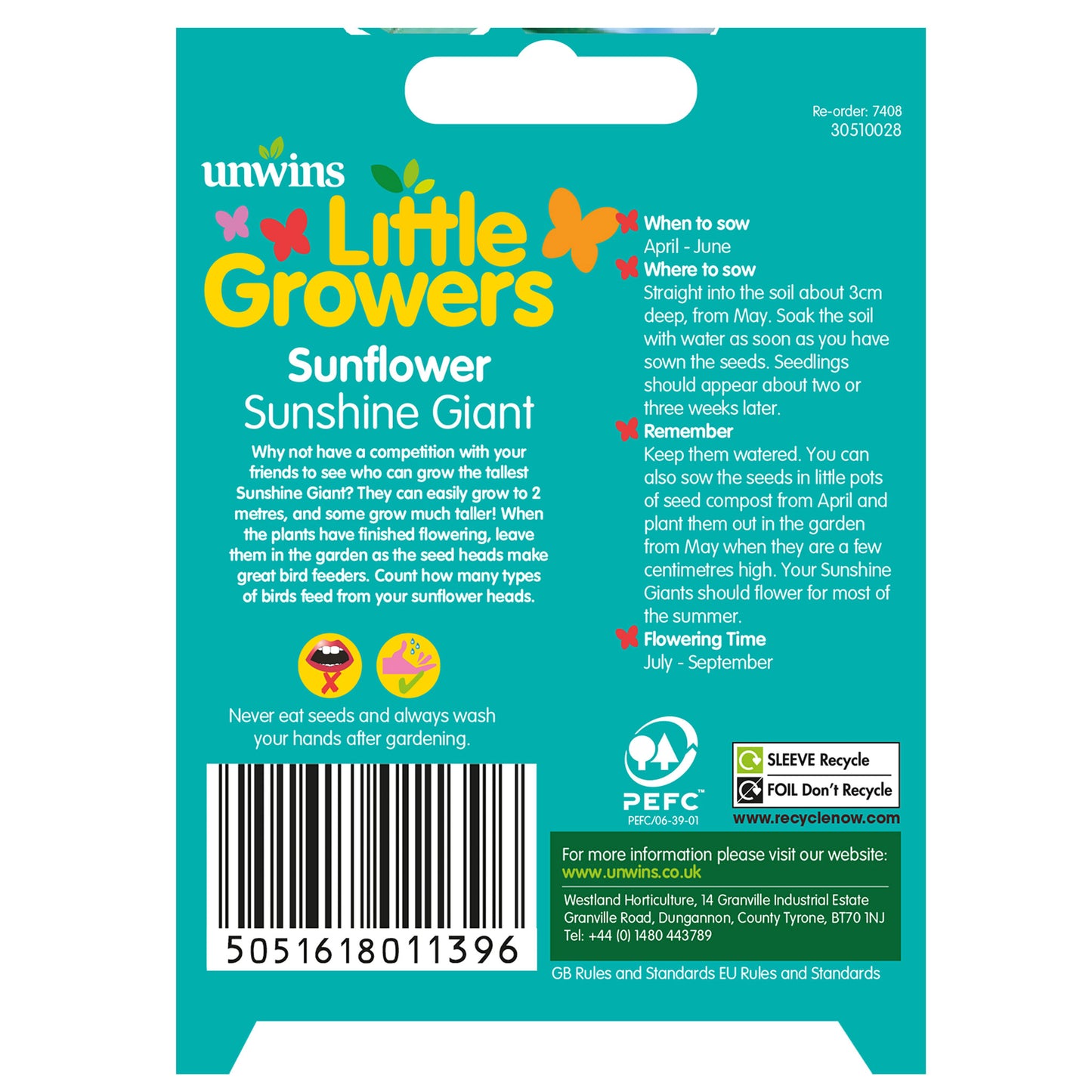 Little Growers Sunflower Sunshine Giant