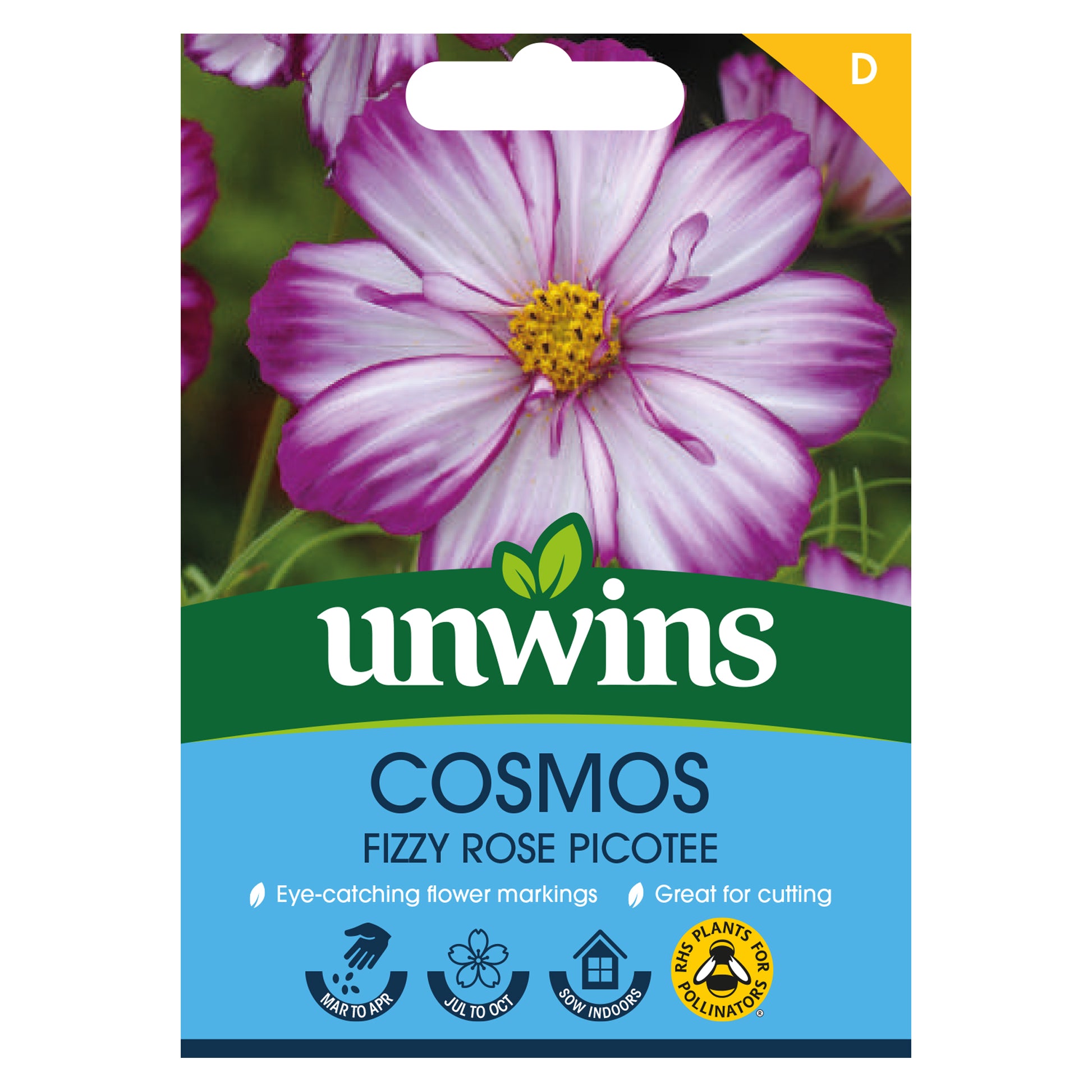 Cosmos Fizzy Rose Picotee