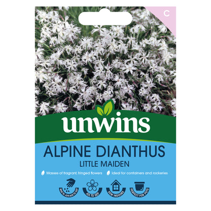 Alpine Dianthus Little Maiden