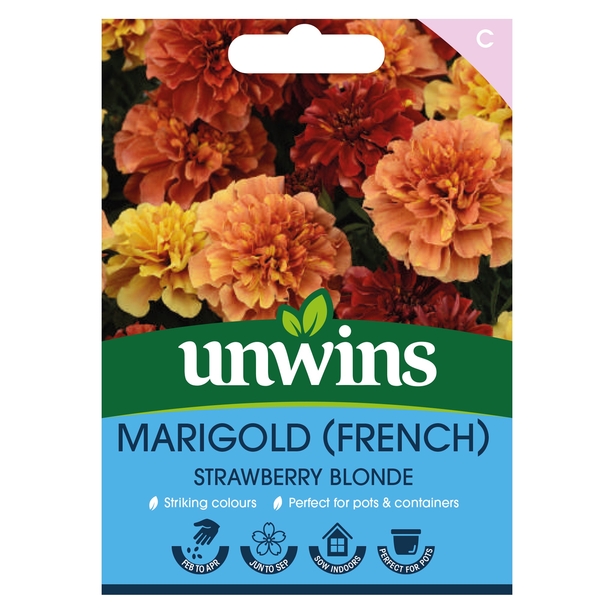 Marigold (French) Strawberry Blonde