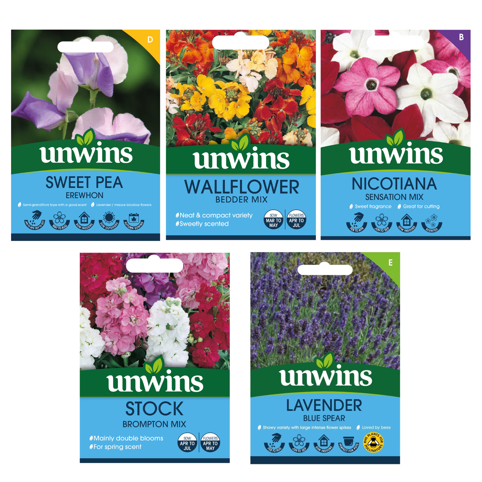 Unwins Fragrant Blooms for Bouquets Seed Bundle
