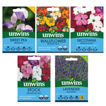 Unwins Fragrant Blooms for Bouquets Seed Bundle