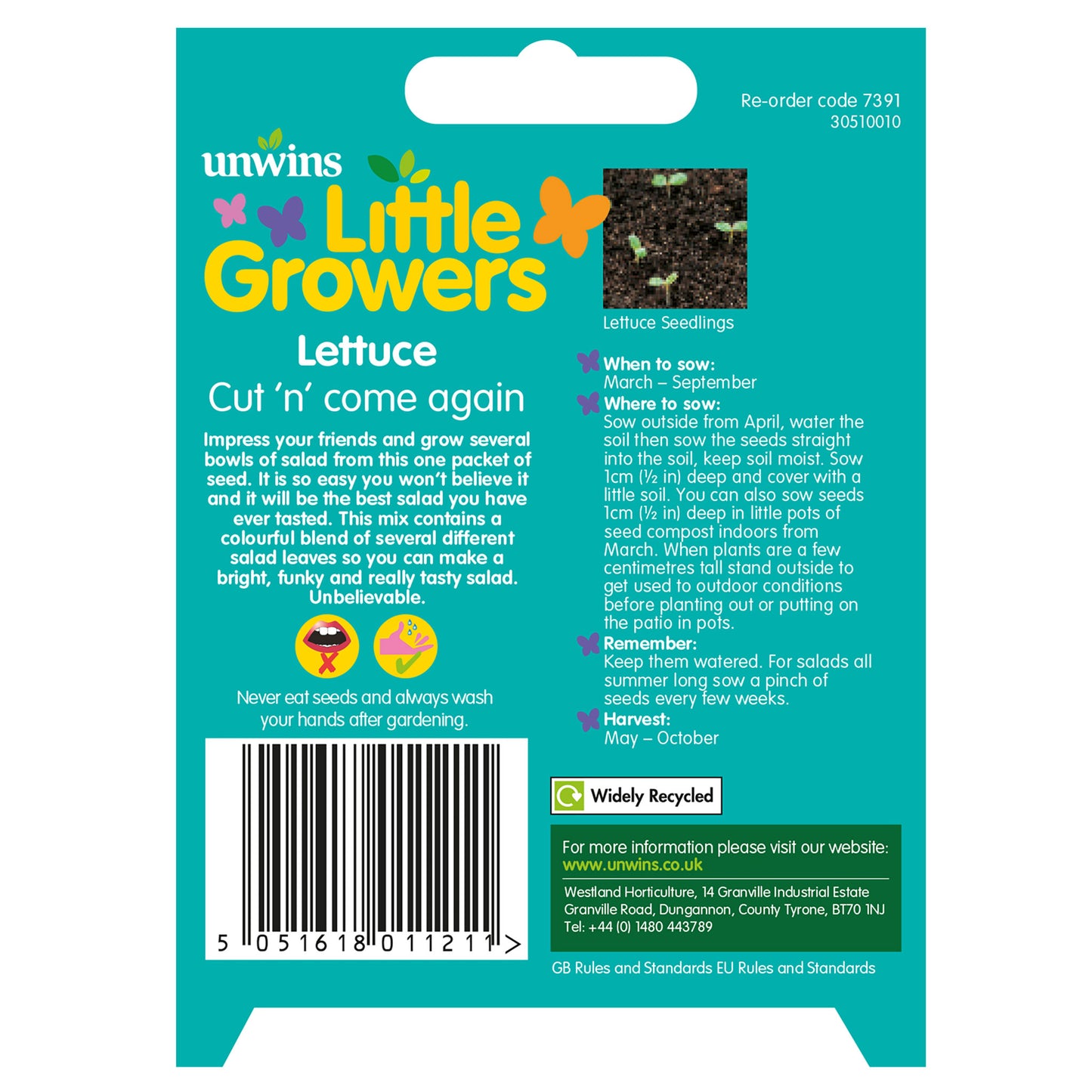 Little Growers Lettuce Cut n' come again