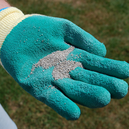 The Big Cheese Cat & Dog Scatter Granules 450g