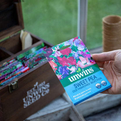 Sweet Pea Old Fashioned Mix