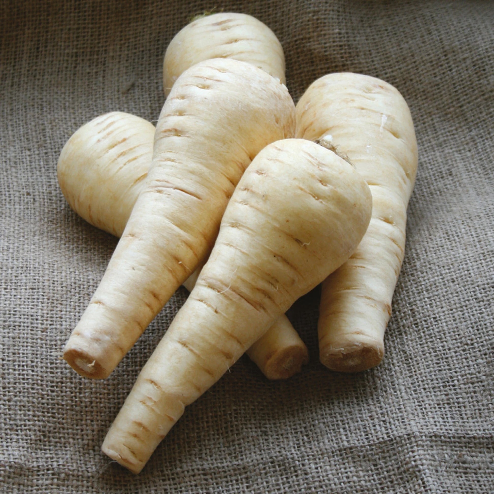 Unwins Winter Warmers Seed Bundle