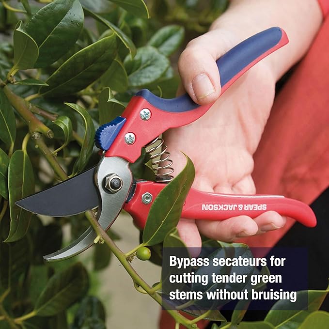 Spear & Jackson Bypass Secateurs