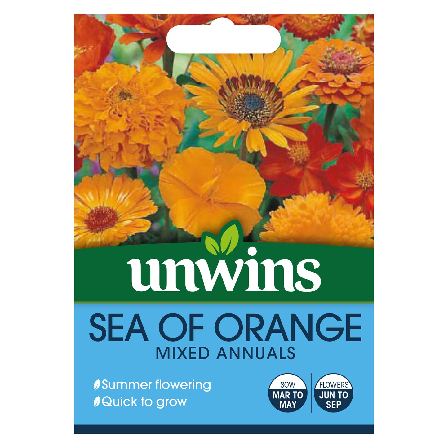 Unwins Sea of Orange Mixed Annuals