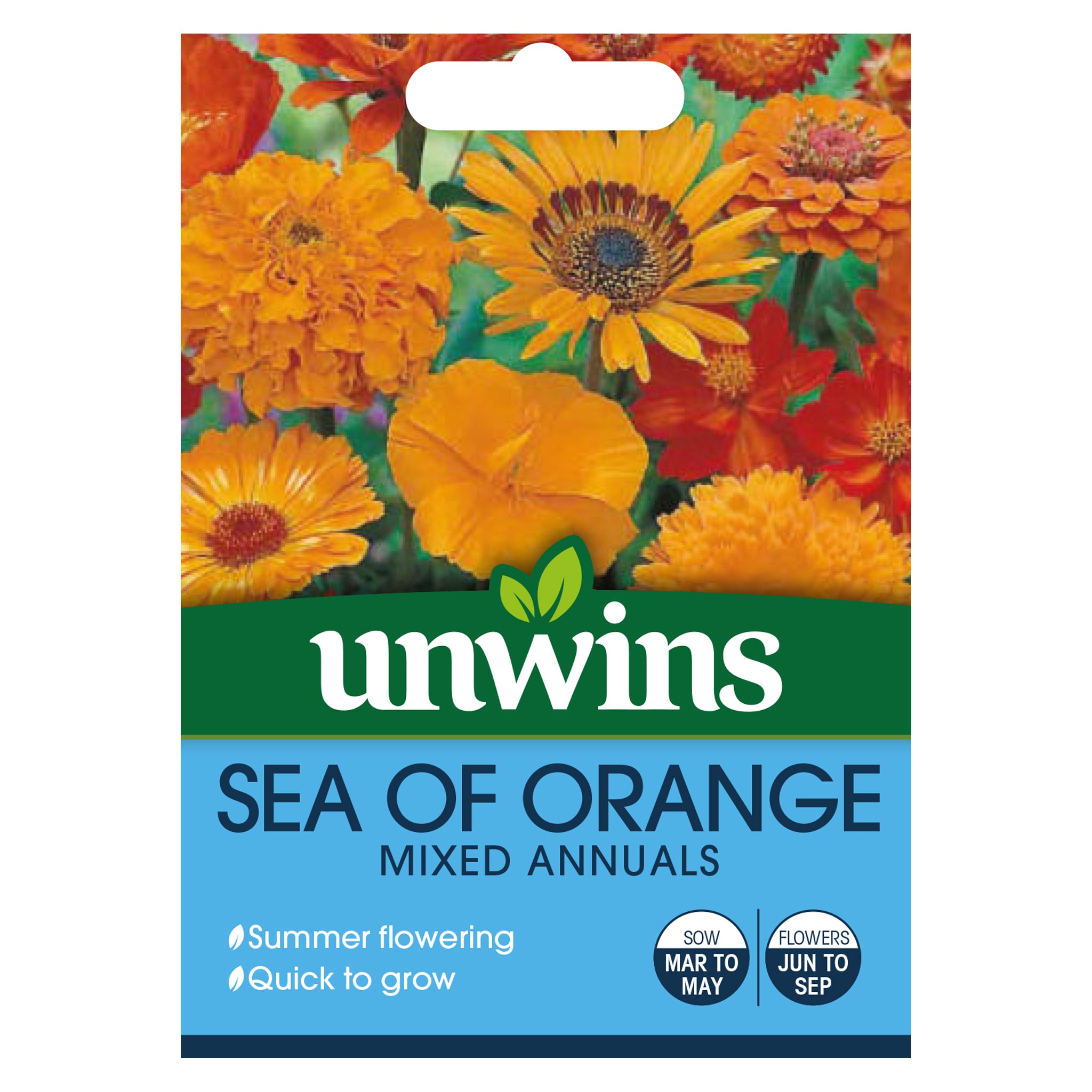 Unwins Sea of Orange Mixed Annuals
