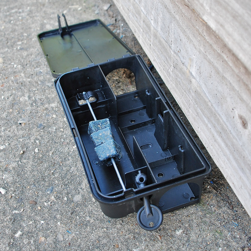 The Big Cheese All-Weather Block Bait - 10g