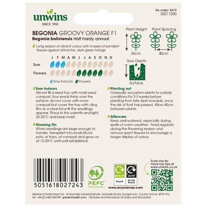 Begonia Groovy Orange F1