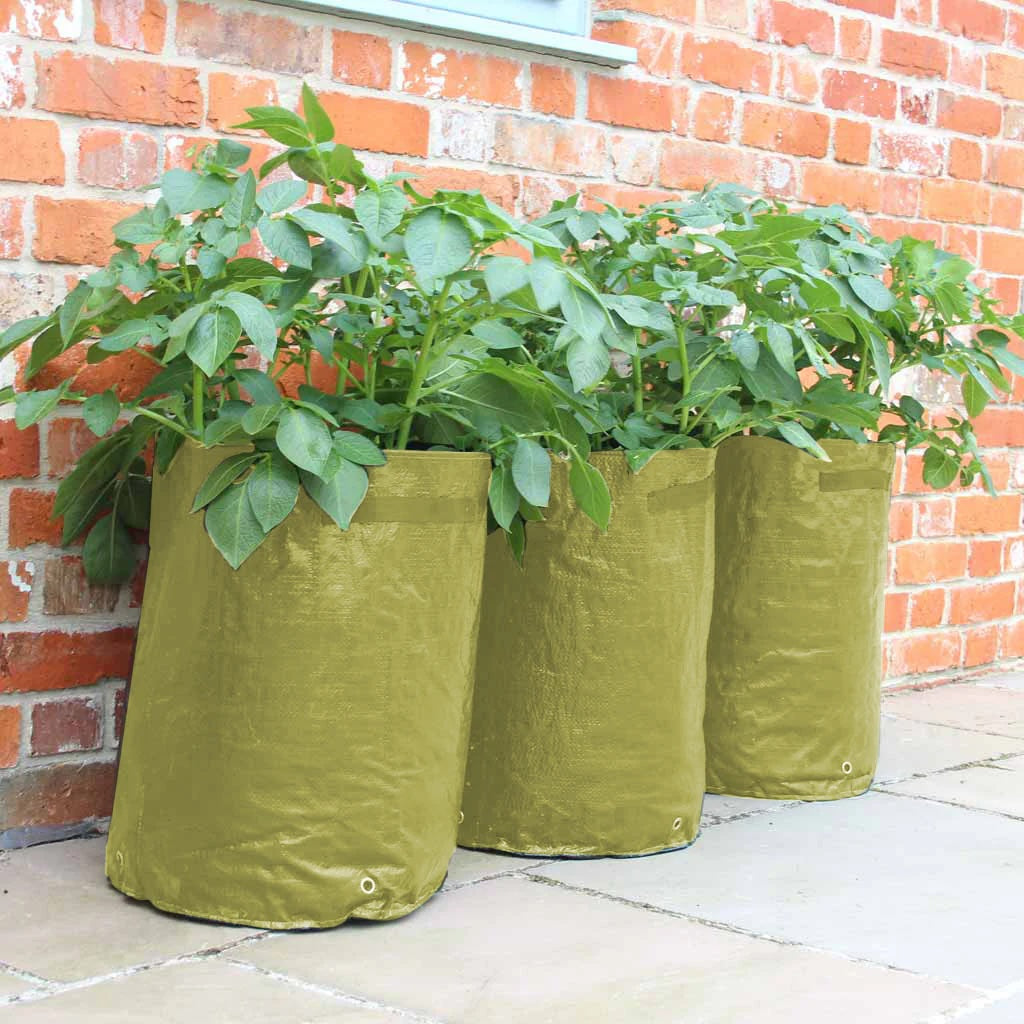 Haxnicks Patio Planters
