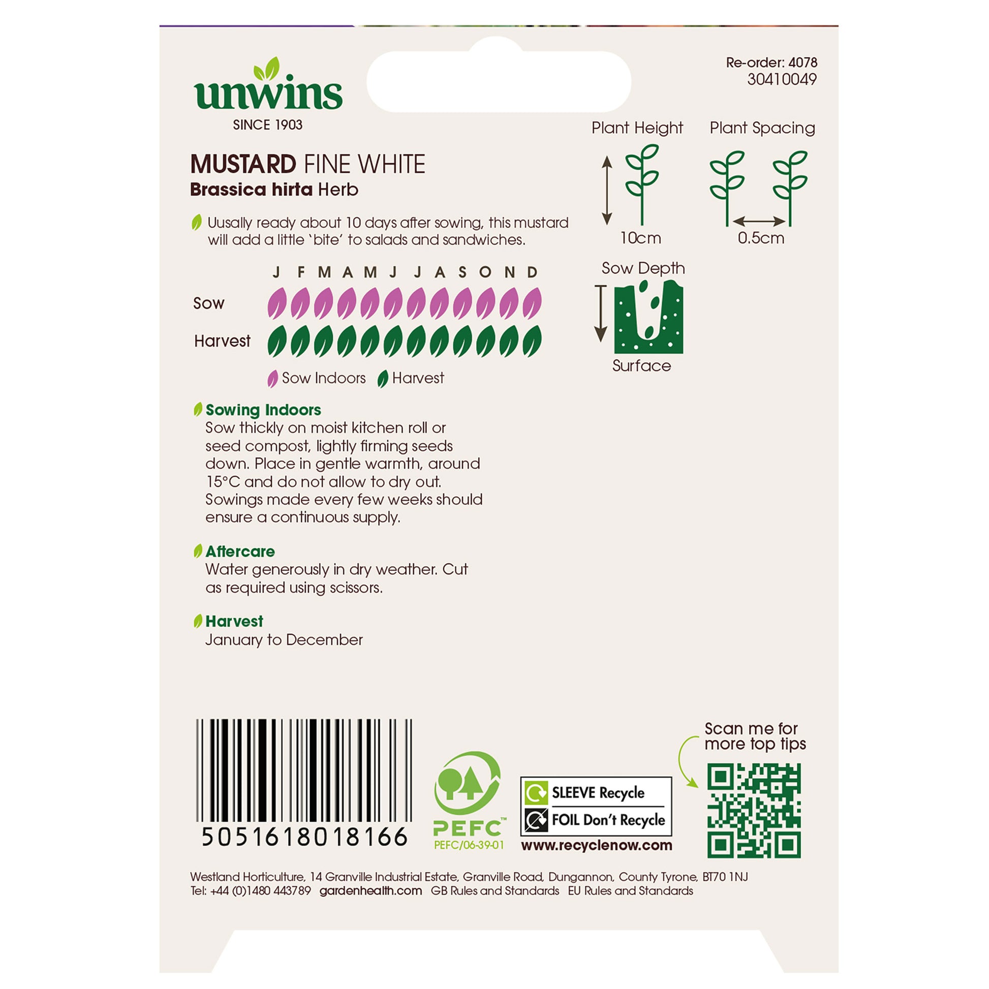 Herb Mustard Fine White