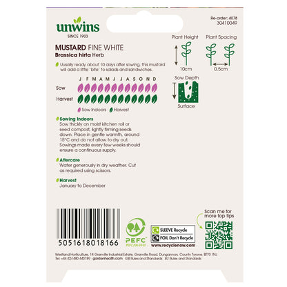 Herb Mustard Fine White