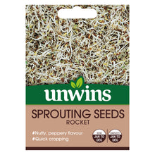 Sprouting Seeds Rocket