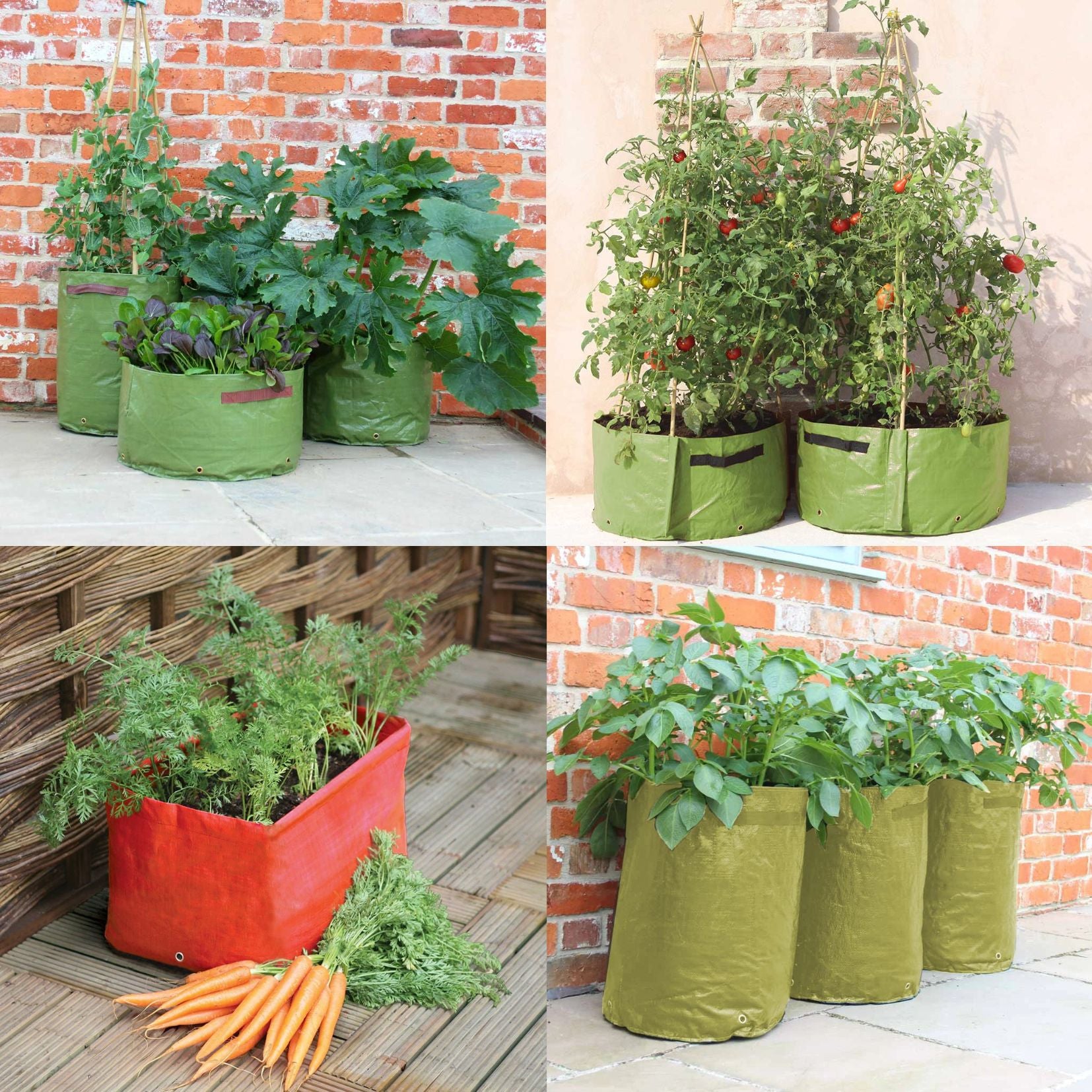 Haxnicks Patio Planters