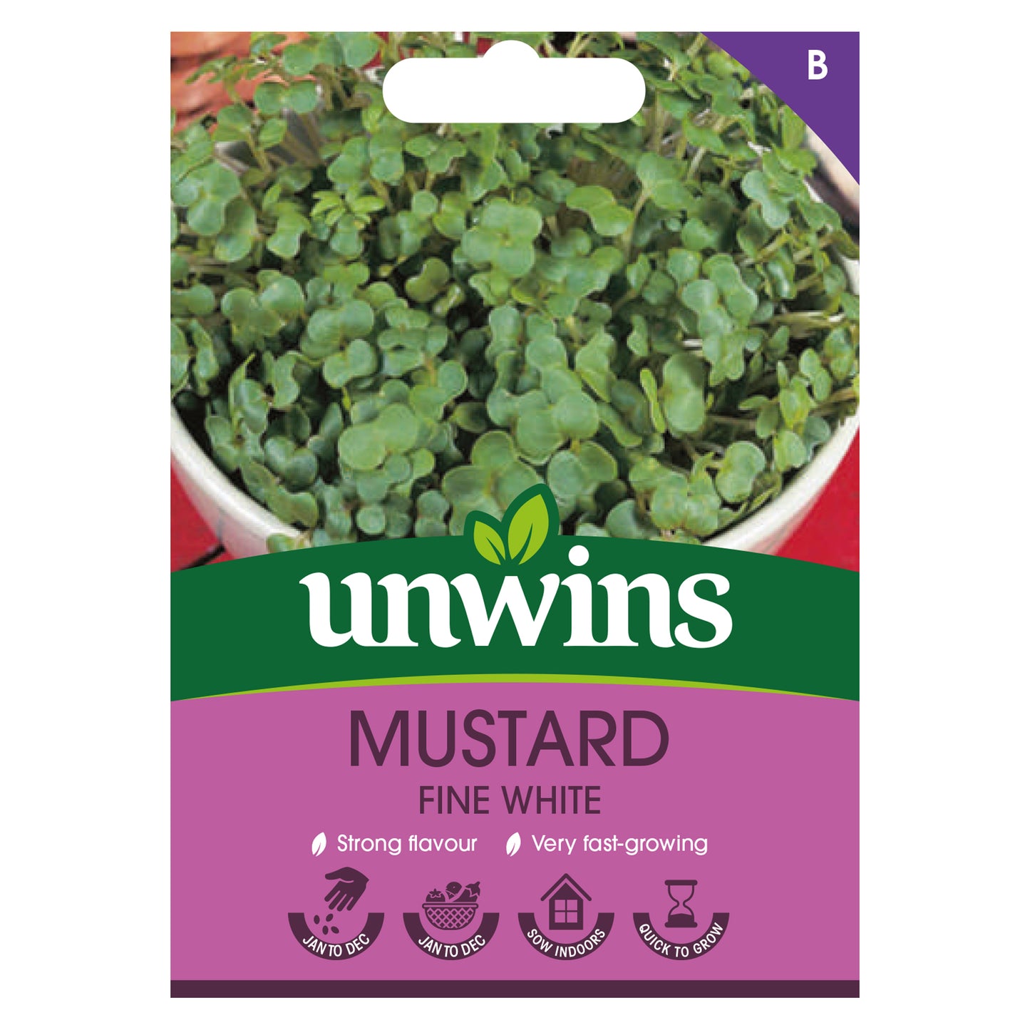 Herb Mustard Fine White