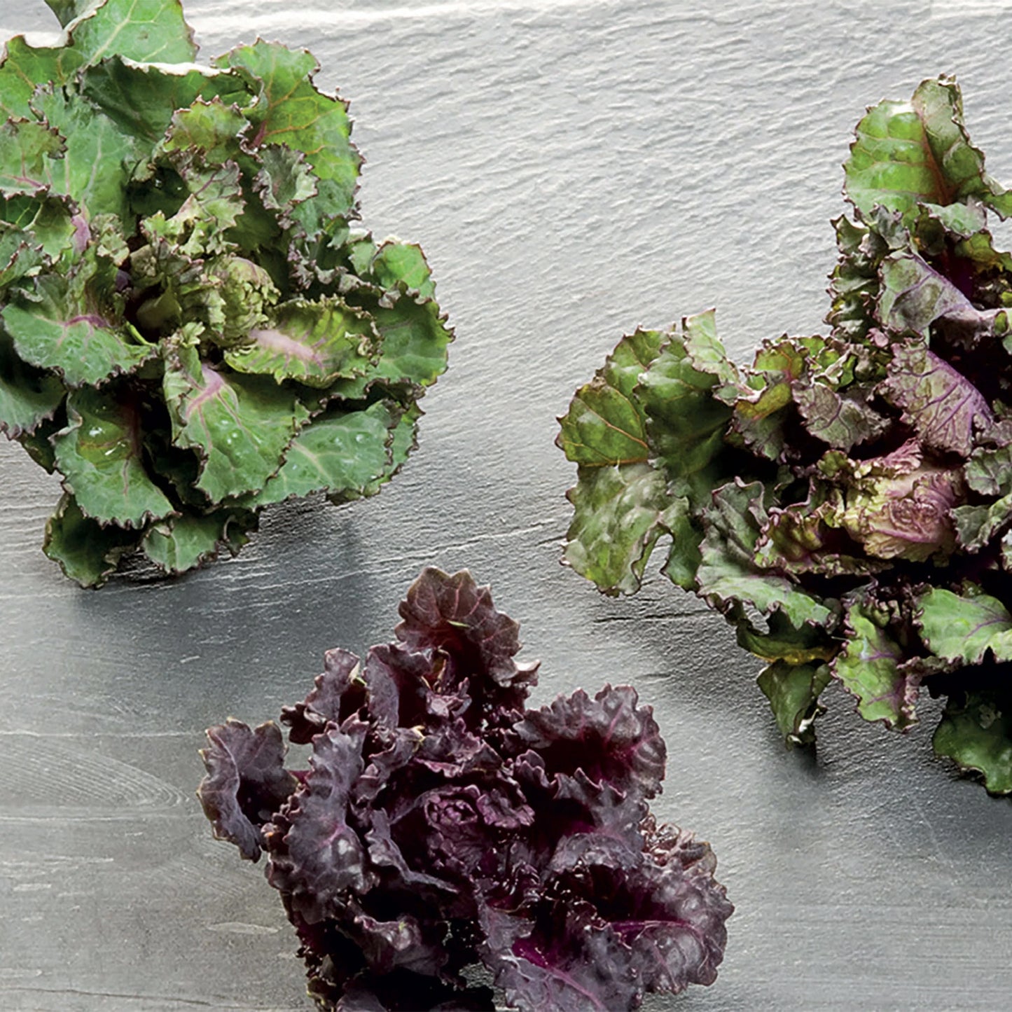 Brussels Sprout Kalettes Garden Mix