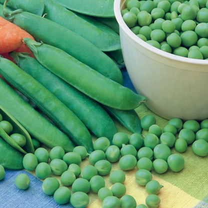 Pea Early Onward
