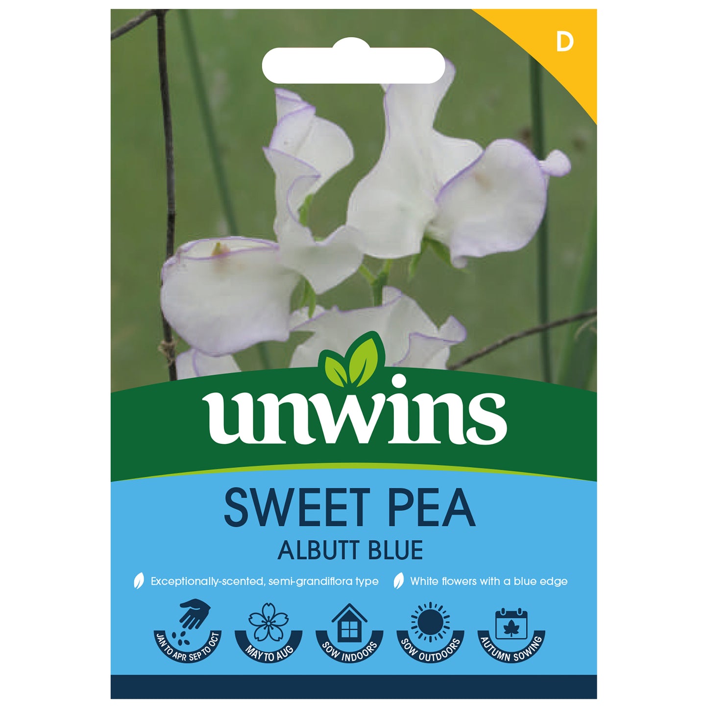 Sweet Pea Albutt Blue