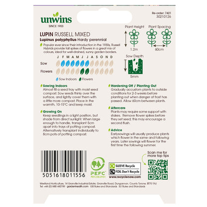 Lupin Russell Mix