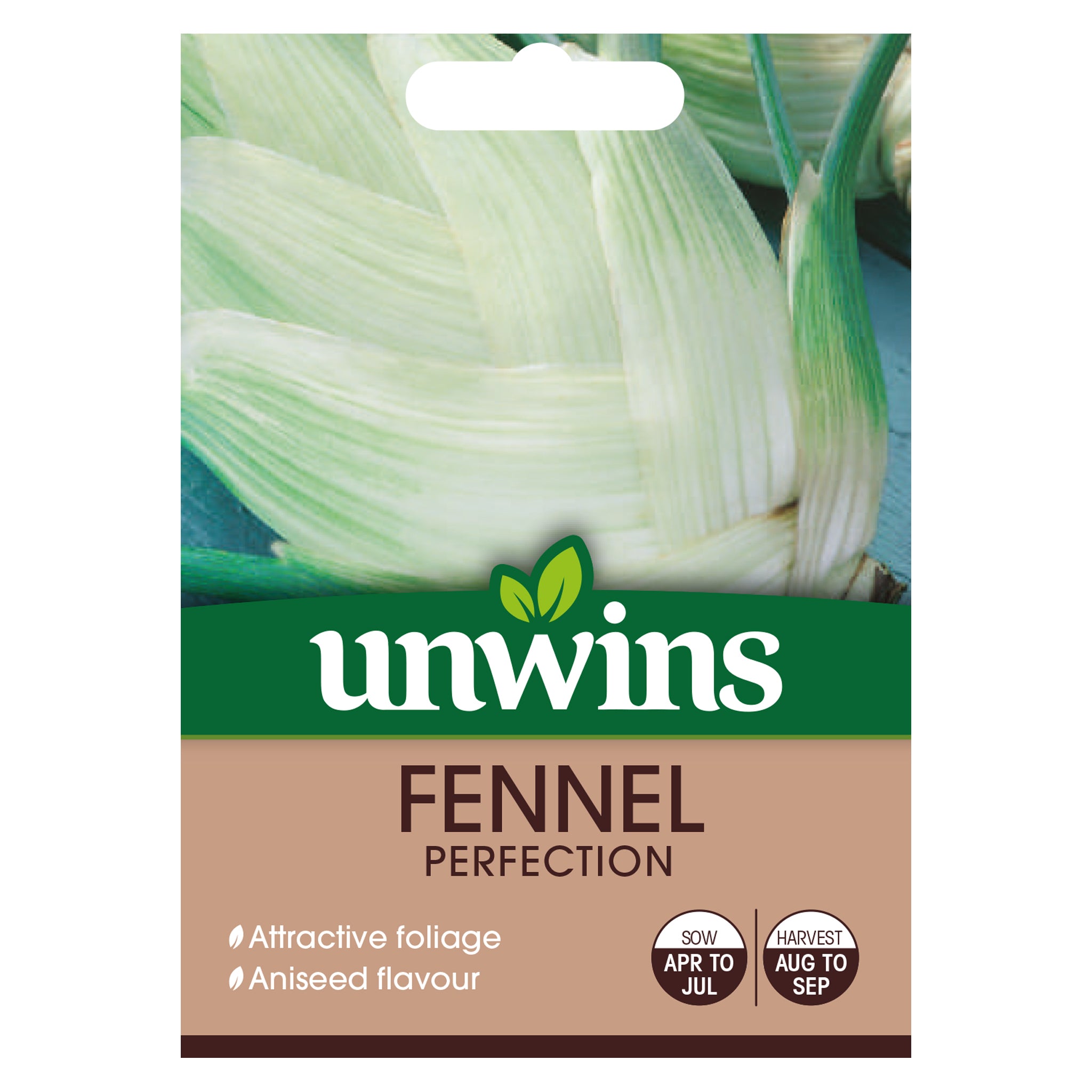 Fennel Perfection