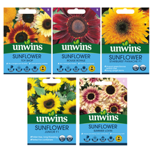 Unwins Sunflower Seed Bundle
