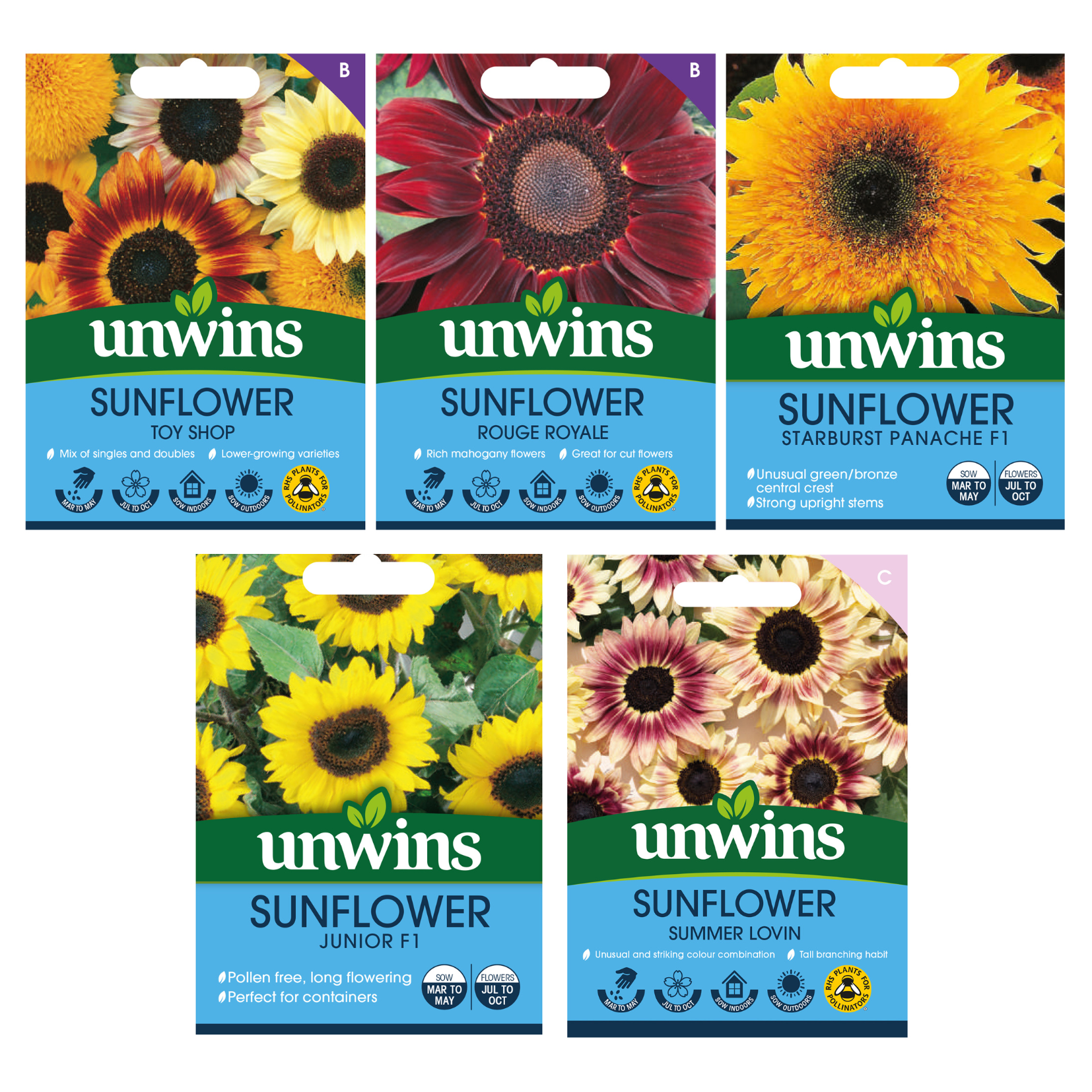 Unwins Sunflower Seed Bundle