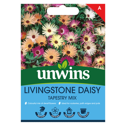 Livingstone Daisy Tapestry Mix