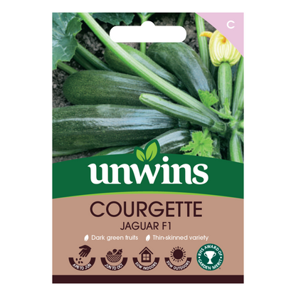 Courgette Jaguar F1Vegetable