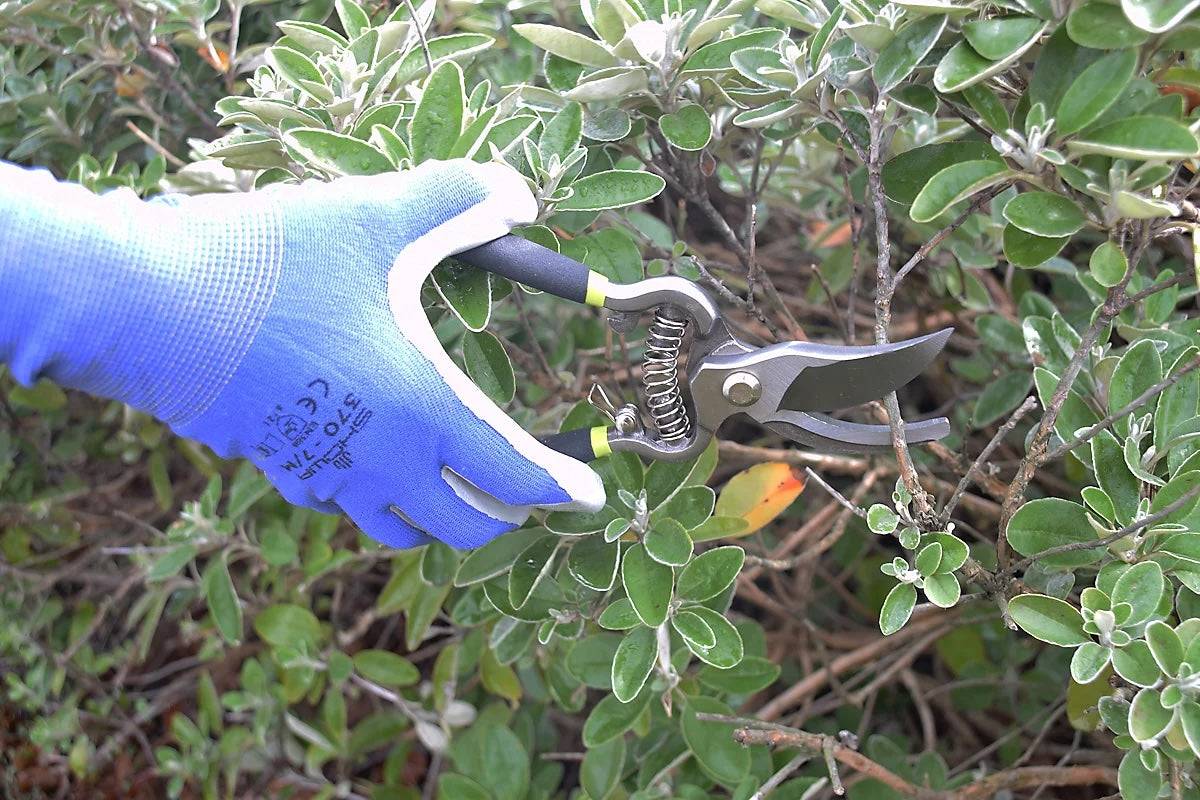 Spear & Jackson Kew Vintage Bypass + Anvil Secateur Set