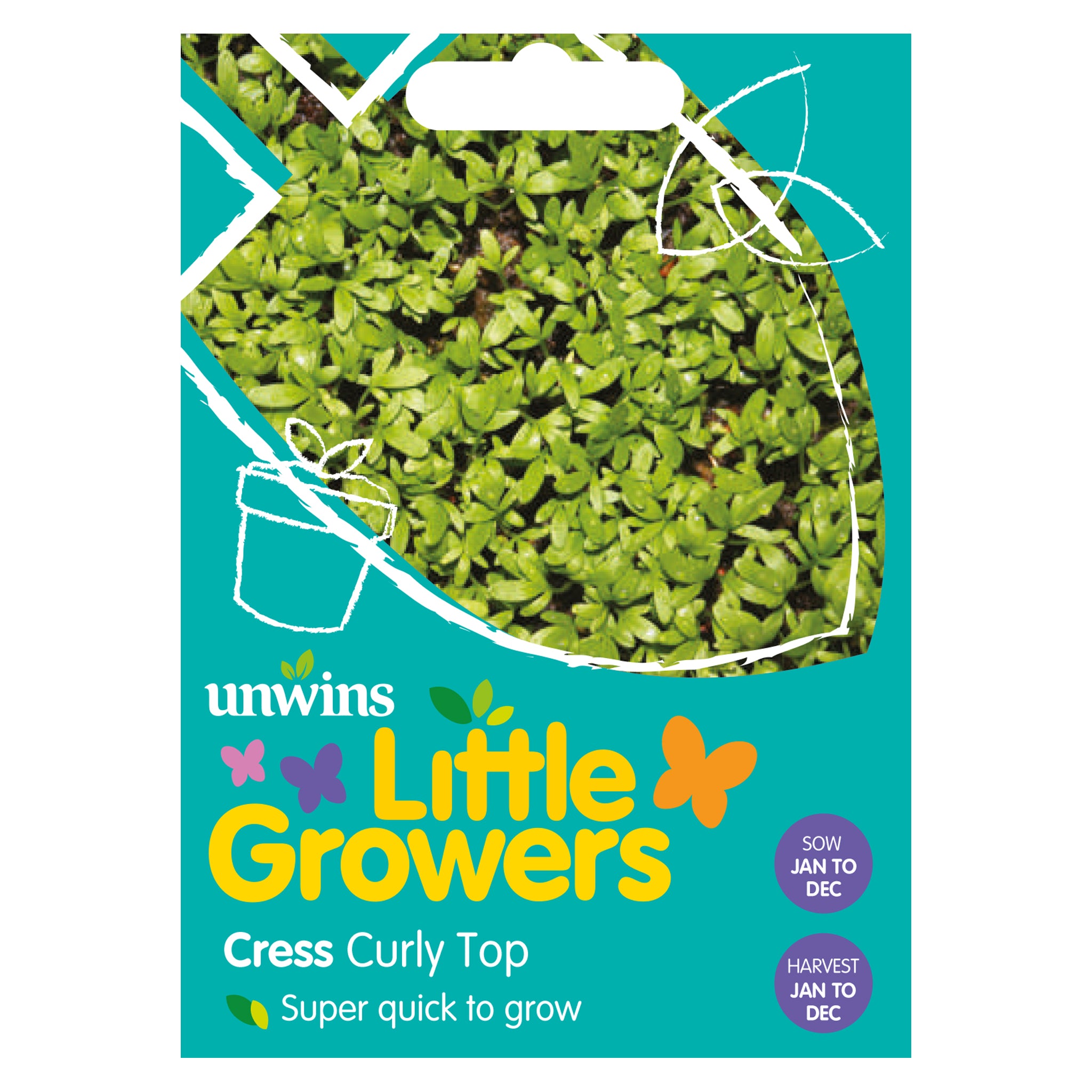 Little Growers Cress Curly Top