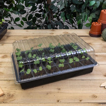 Growers Choice Standard Propagator Black 24cm