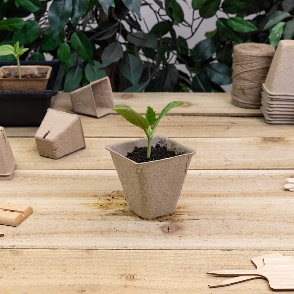 Growers Choice Peat Free Pots