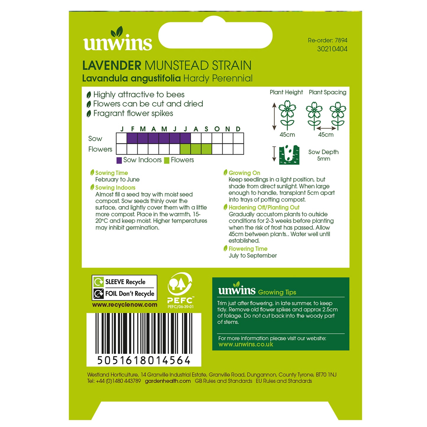 NH Lavender Munstead Strain