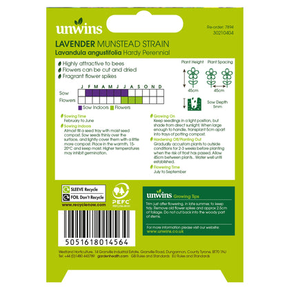 NH Lavender Munstead Strain