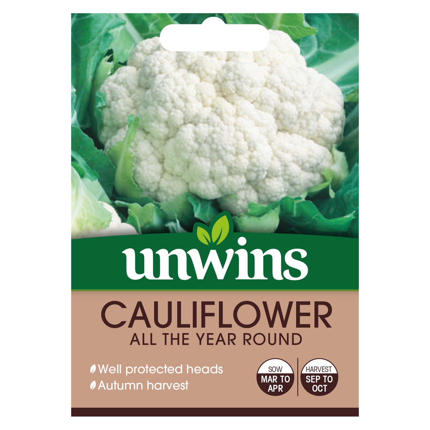 Cauliflower All The Year Round
