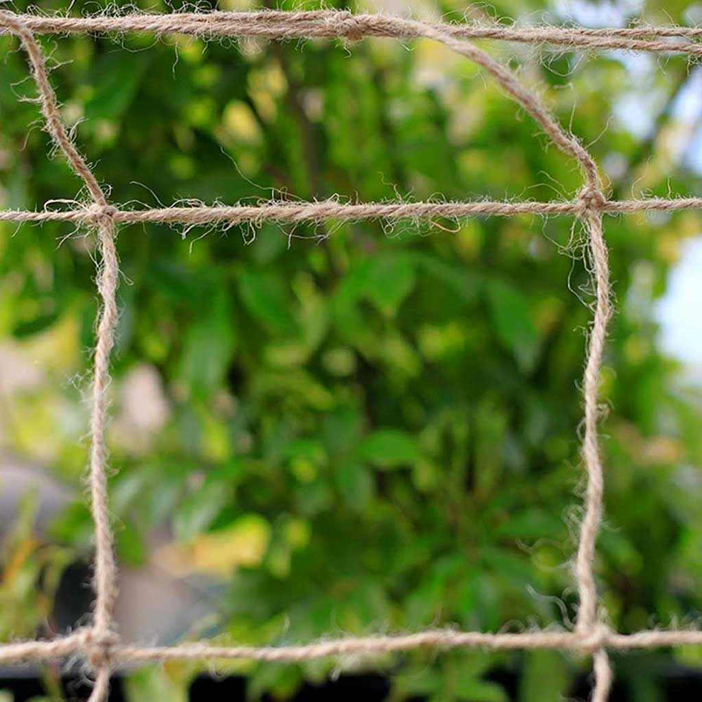 Growers Choice Jute Plant Support Netting - 2m x 5m