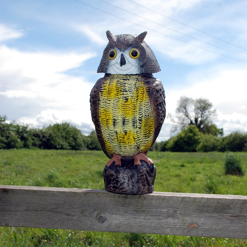 The Big Cheese Wind-Action Owl