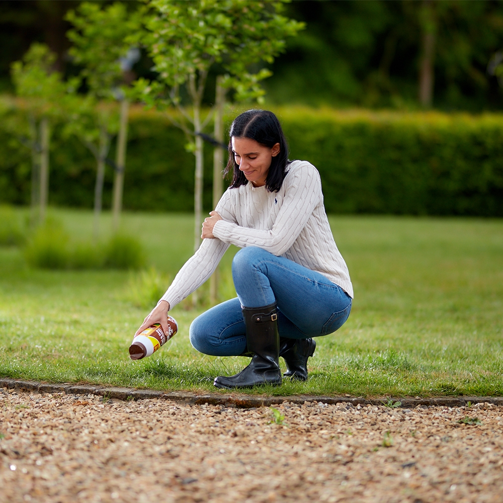 The Big Cheese Cat & Dog Scatter Granules 450g