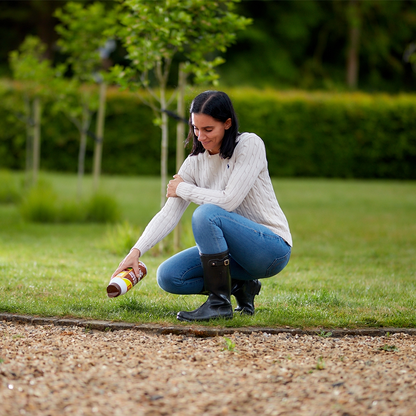 The Big Cheese Cat & Dog Scatter Granules 450g