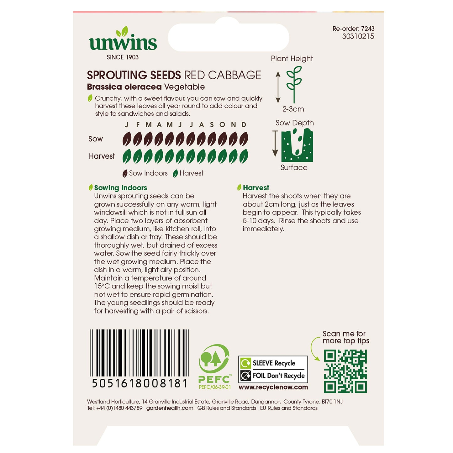 Sprouting Seeds Red Cabbage